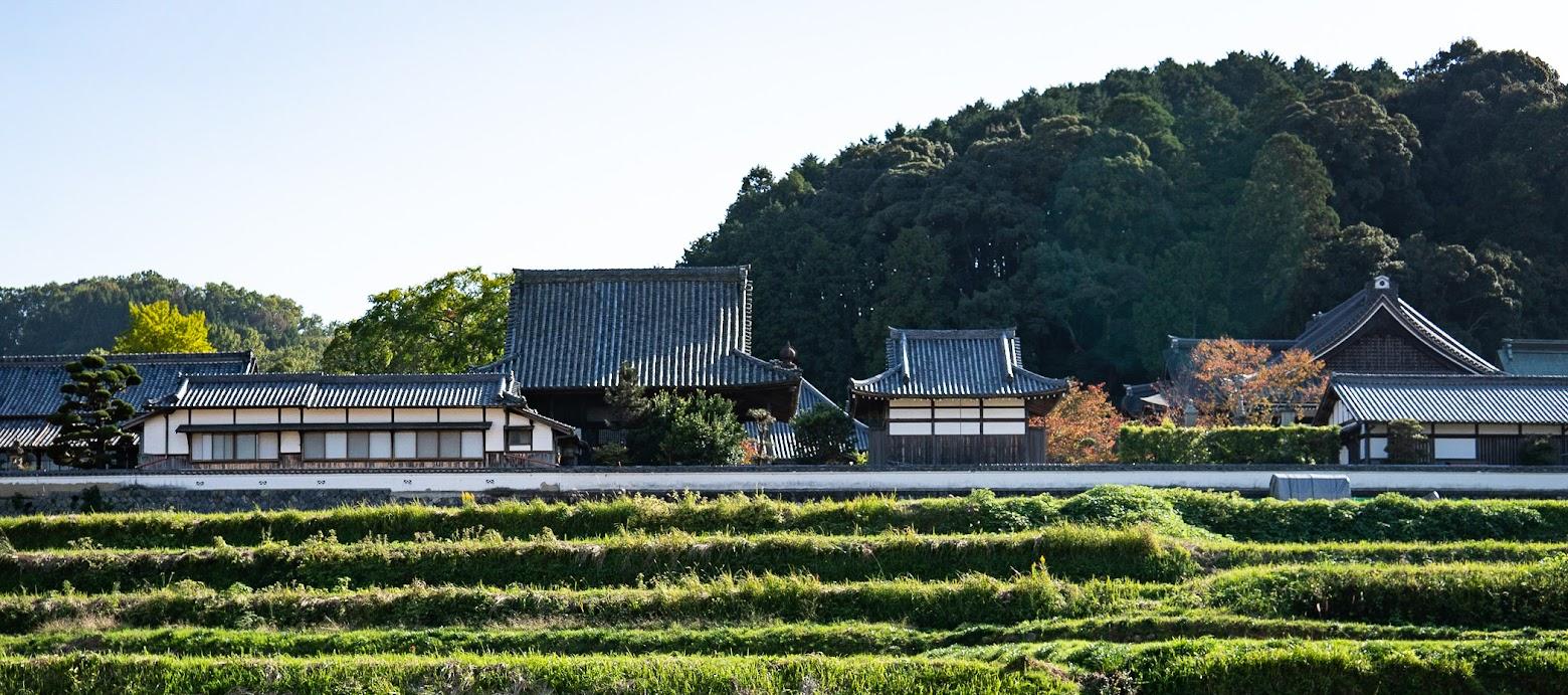 Japan Walking