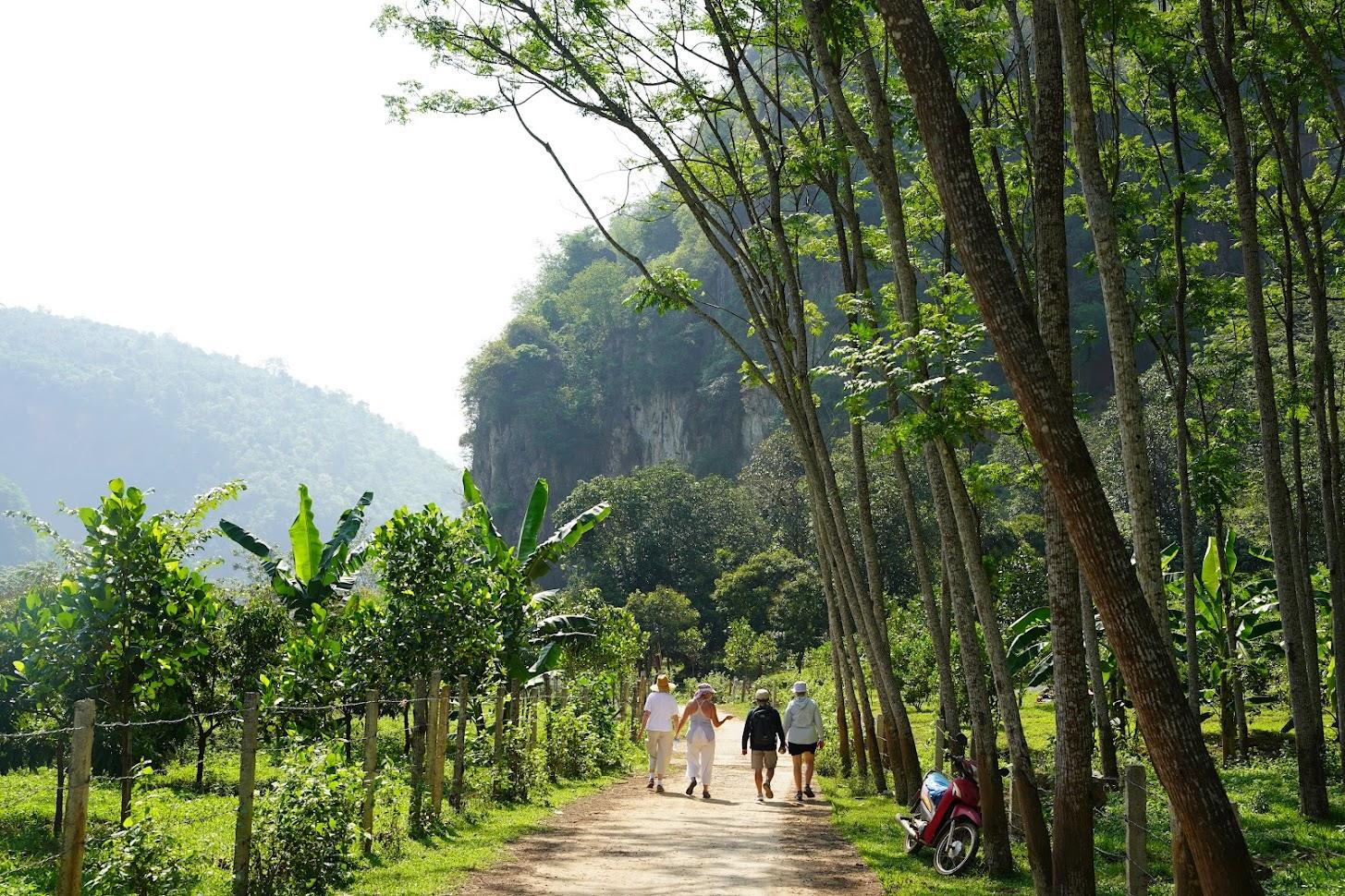 Northern Vietnam Walking