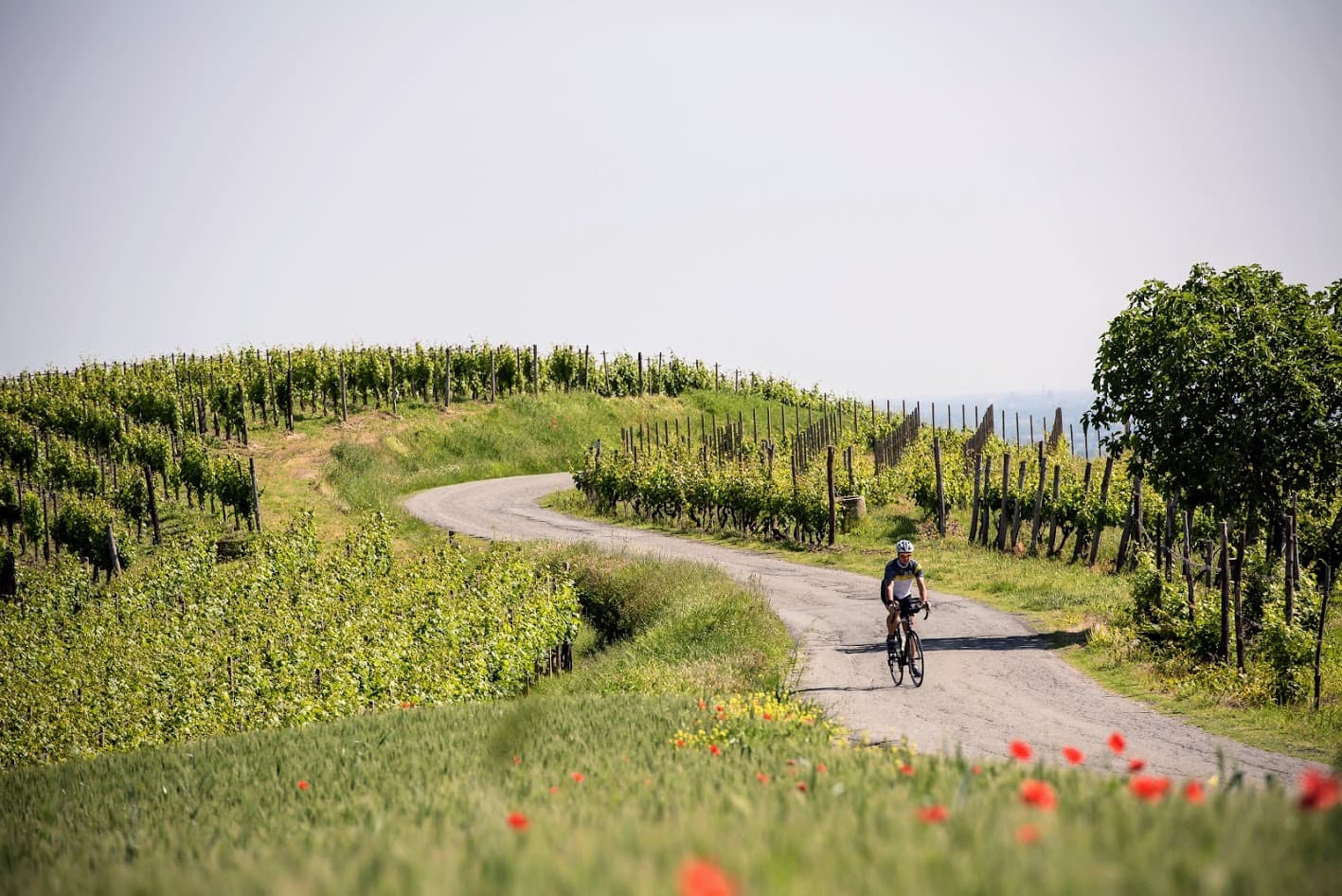 destination-hero-image