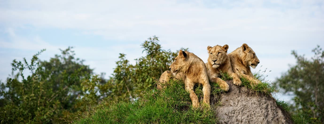 destination-hero-image