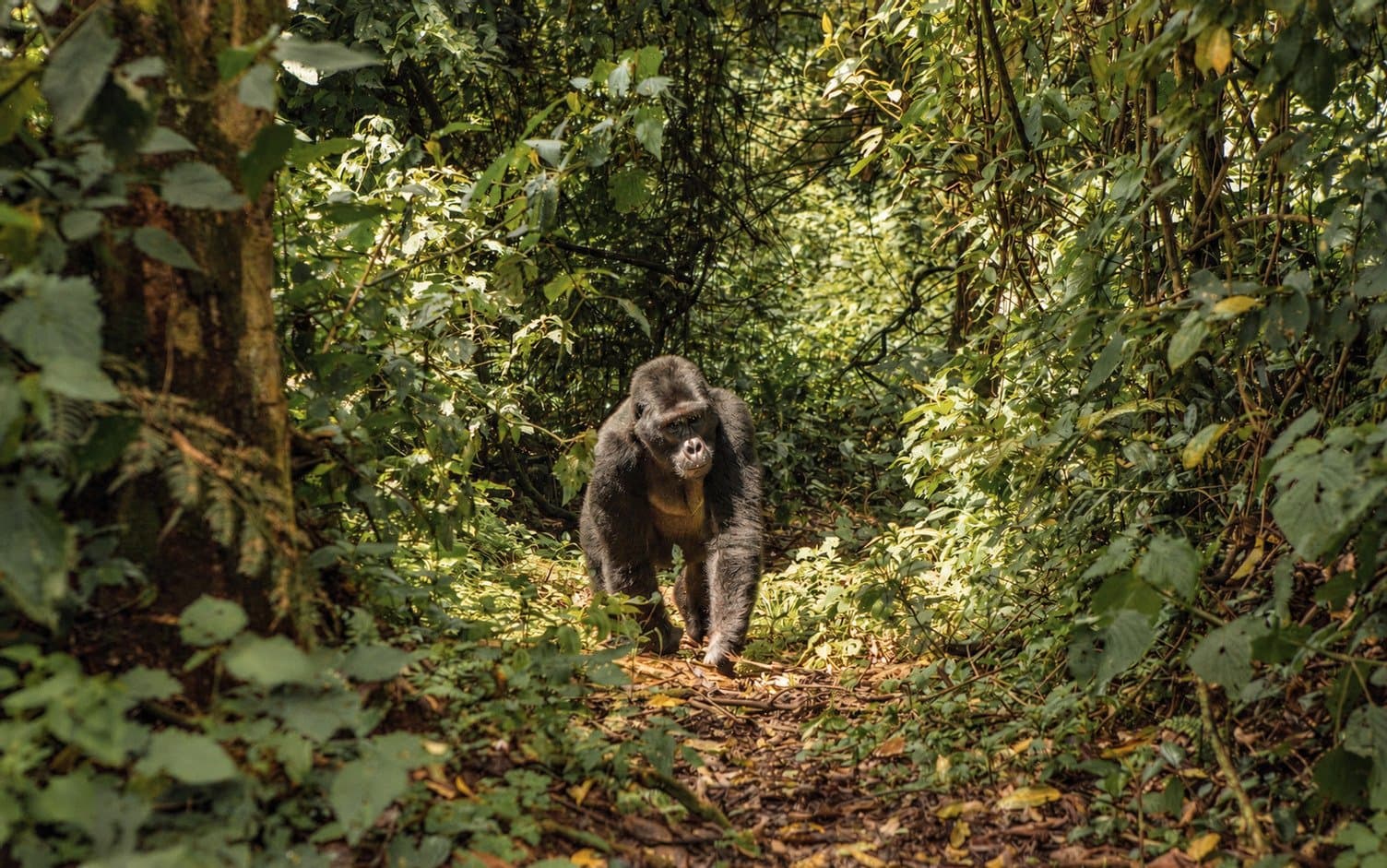 Rwanda