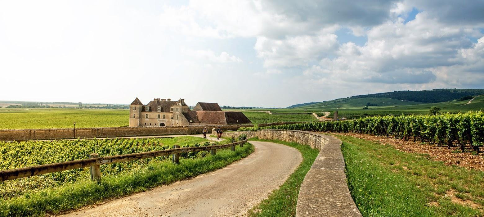 Burgundy Wine Country Biking