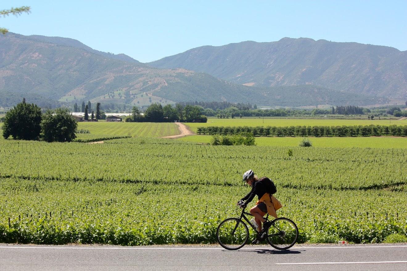 Chile Wine Country Biking