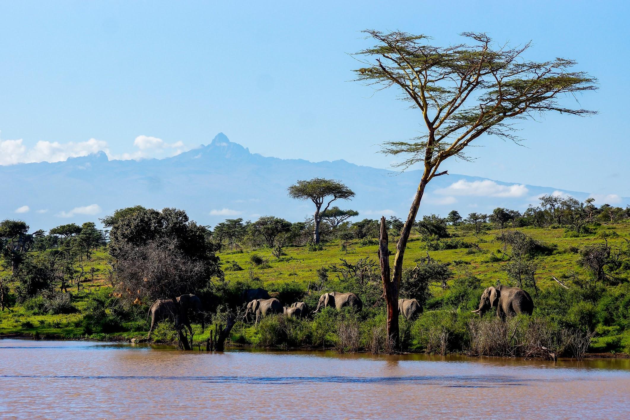 Kenya Wildlife & Conservation