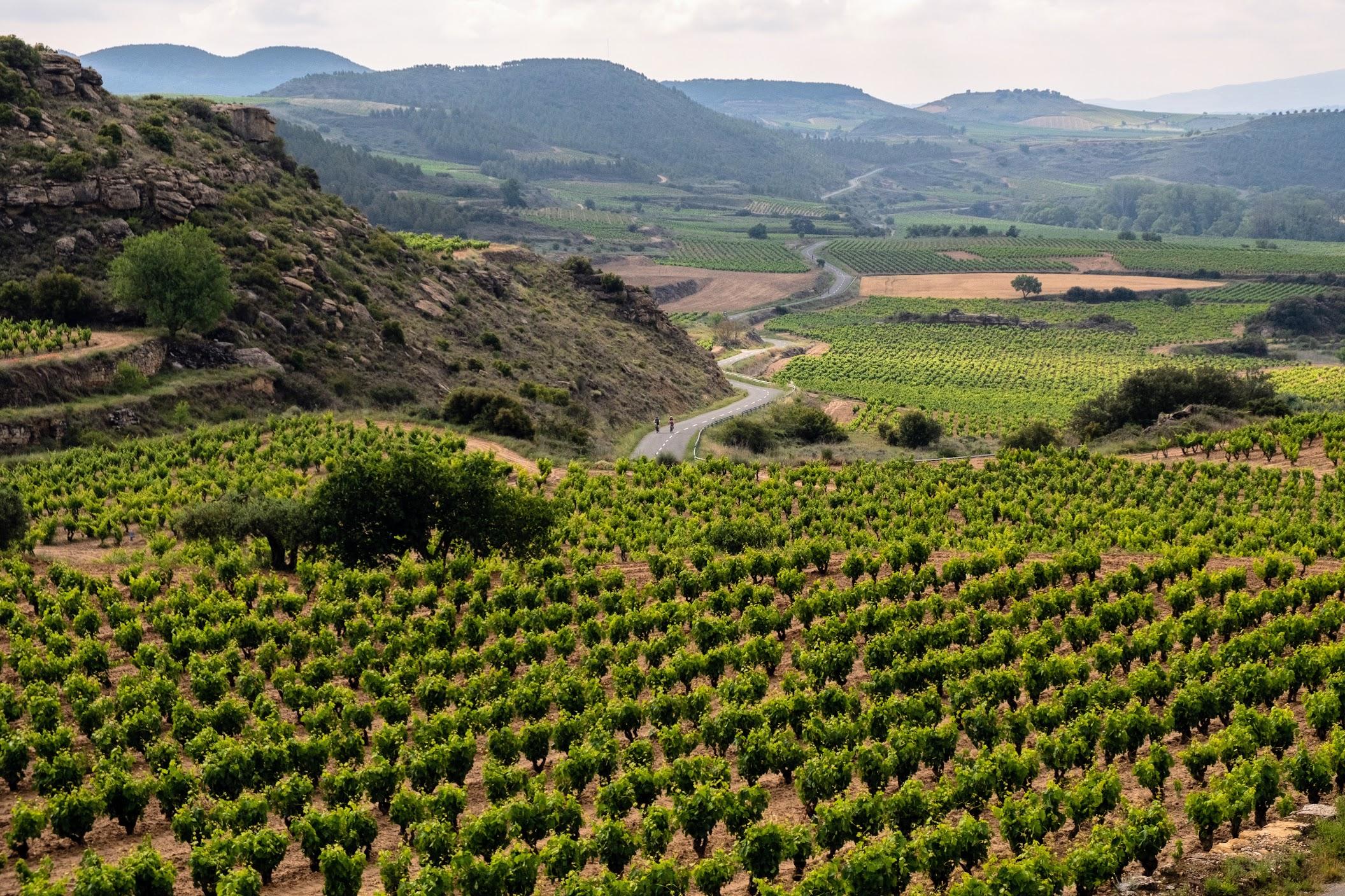 Spanish Wine Country Biking