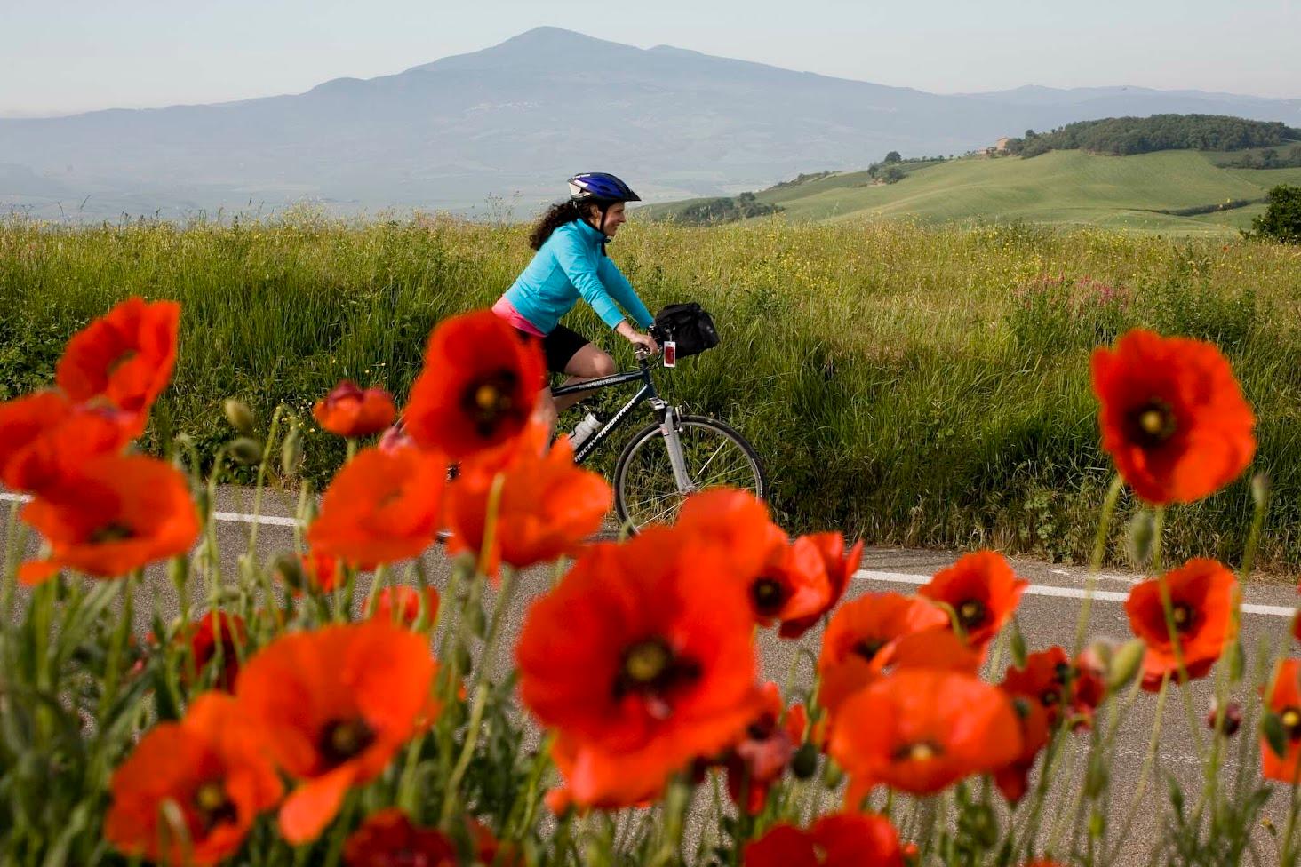 Tuscany Wine Country Biking