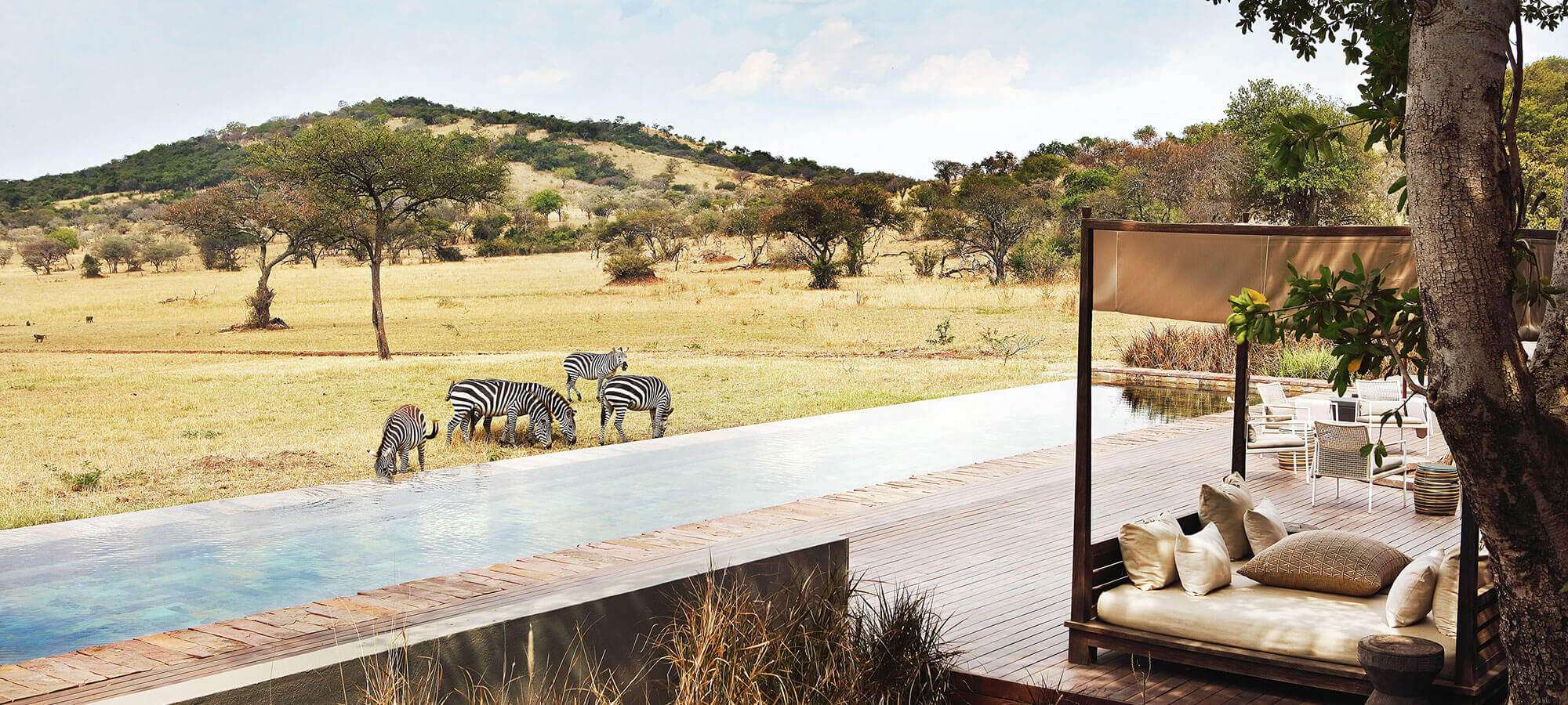 Luxury African Safaris | Butterfield & Robinson